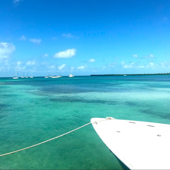 Meet your Posher, Ann - Picture 1 of 1